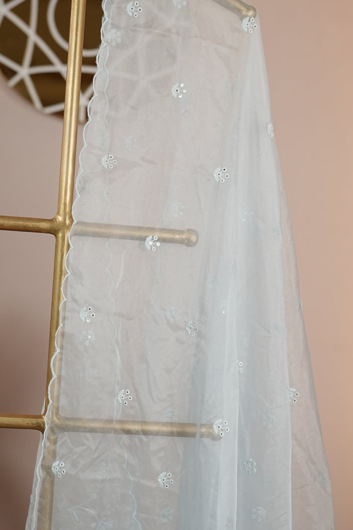 Organza Dupatta TDA4775