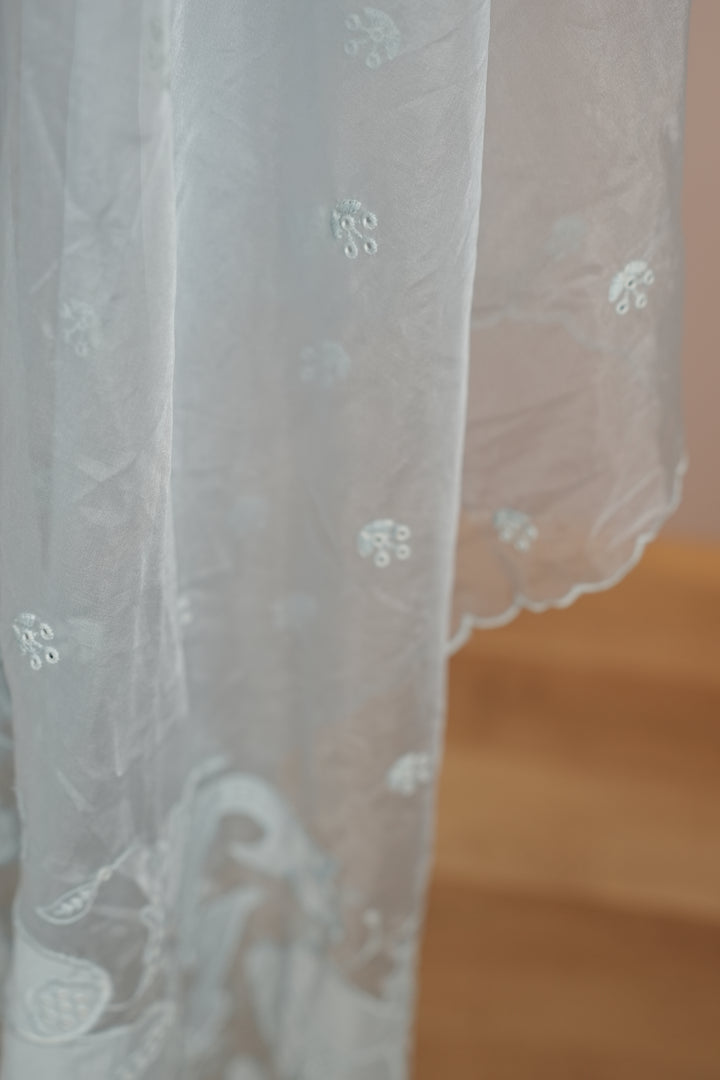 Organza Dupatta TDA4775
