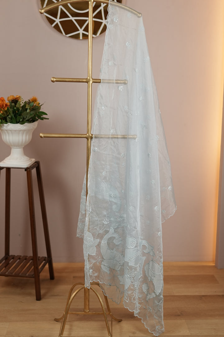 Organza Dupatta TDA4775