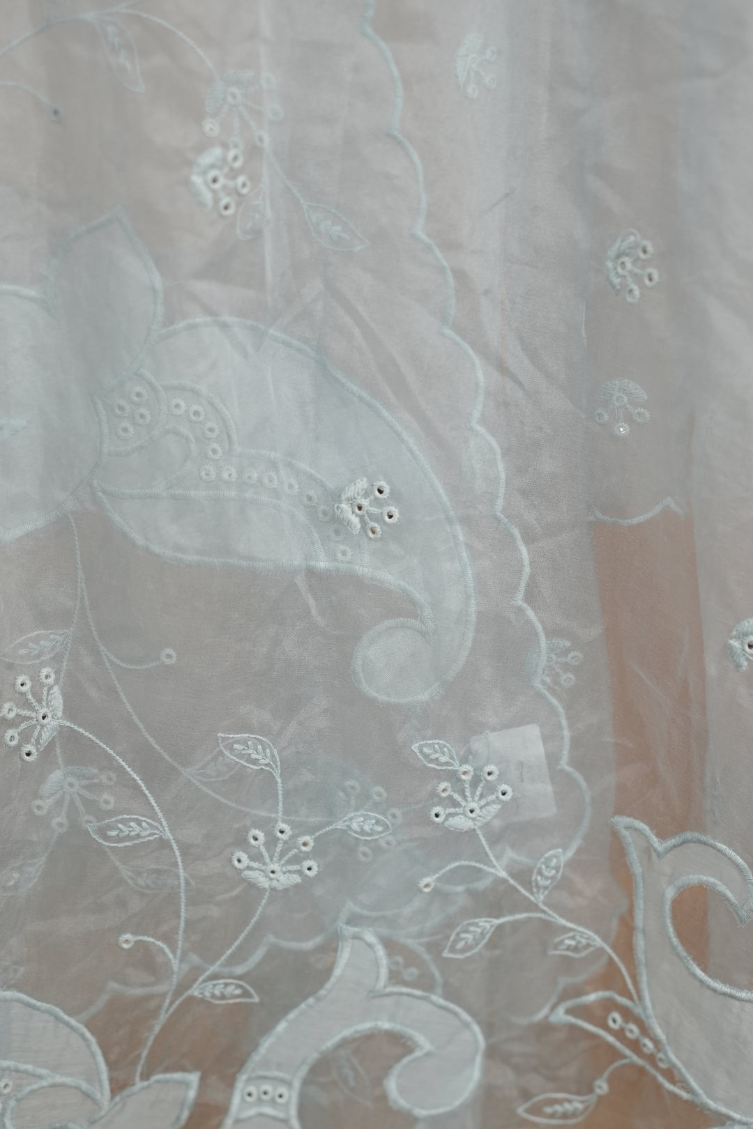 Organza Dupatta TDA4775