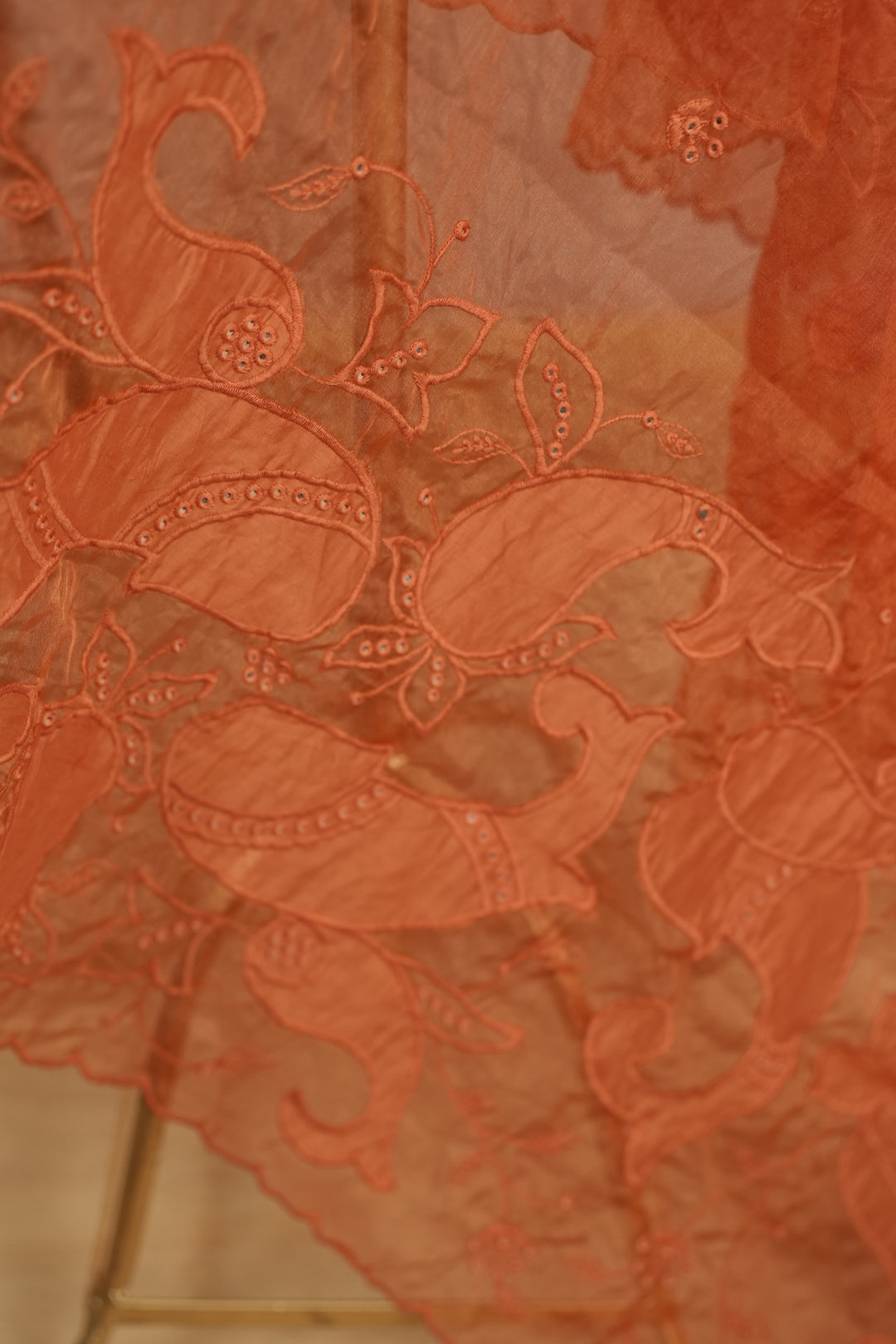 Organza Dupatta TDA4775