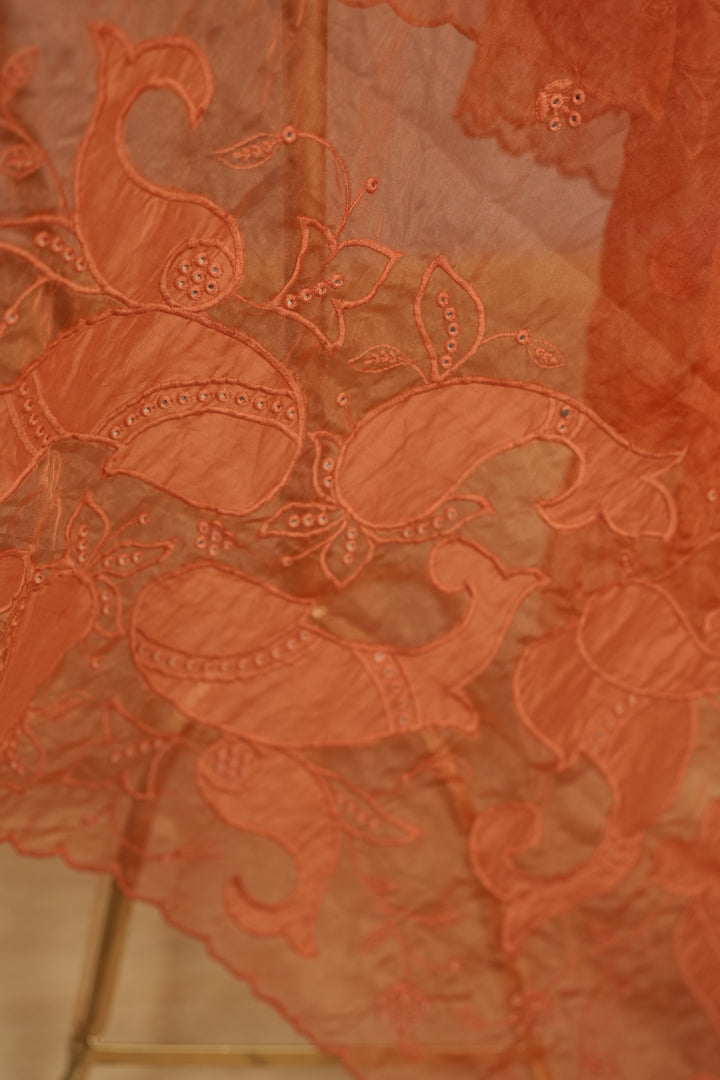 Organza Dupatta TDA4775
