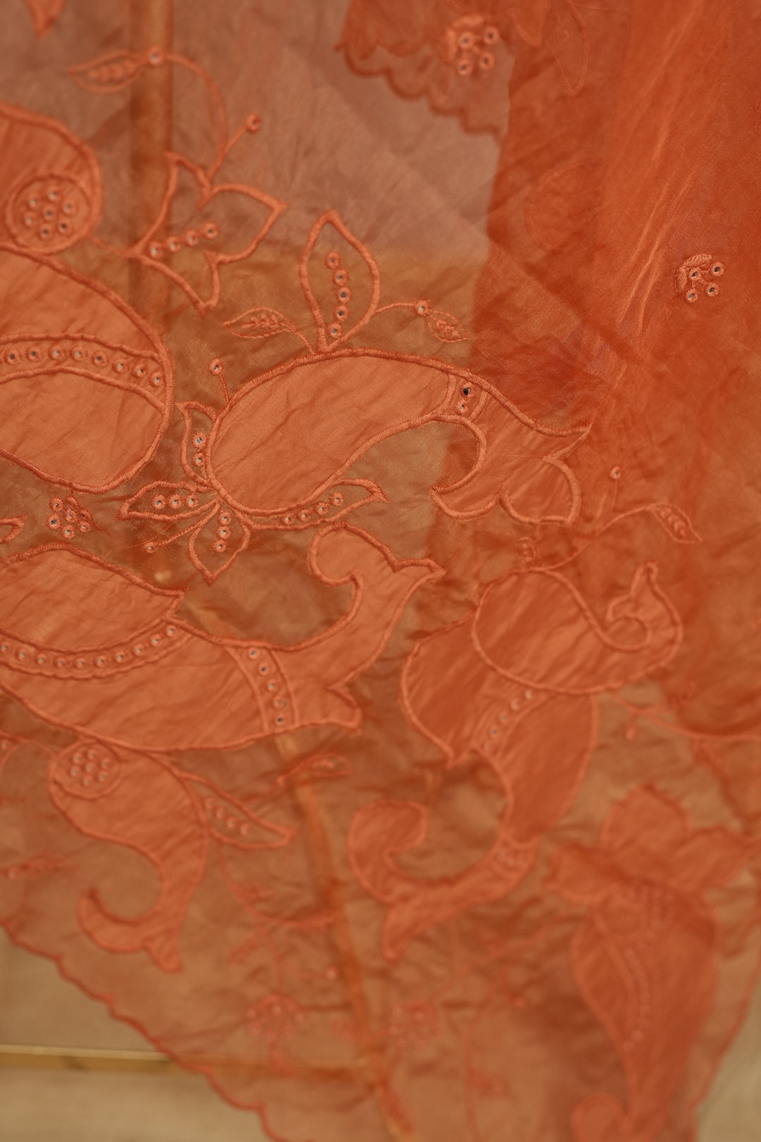 Organza Dupatta TDA4775