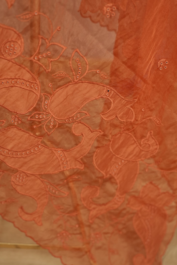 Organza Dupatta TDA4775