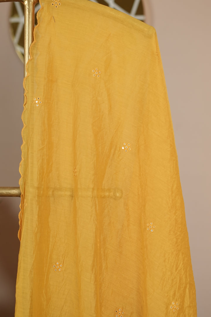 Chanderi Dupatta TDA0131