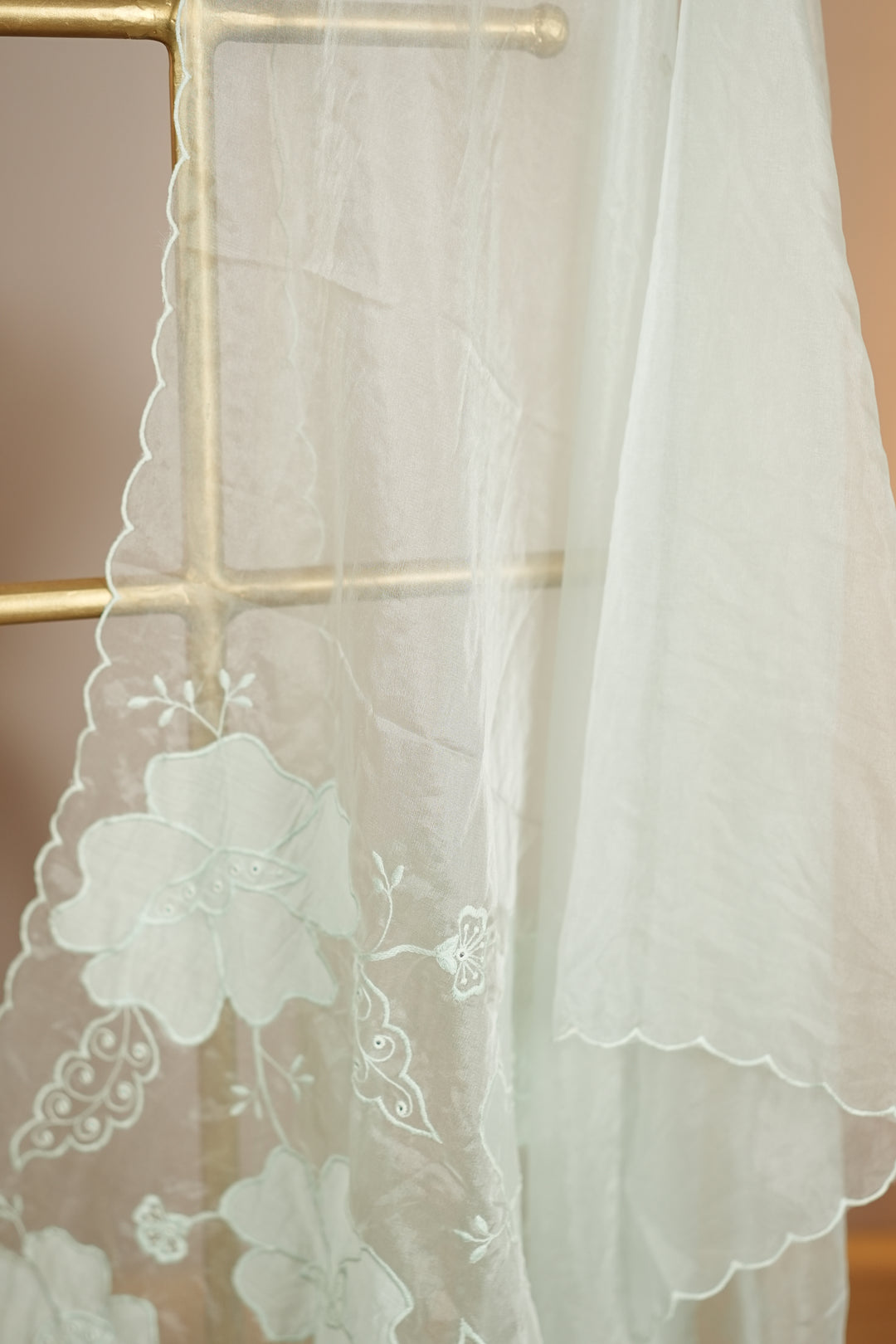 Organza Dupatta TDA0137