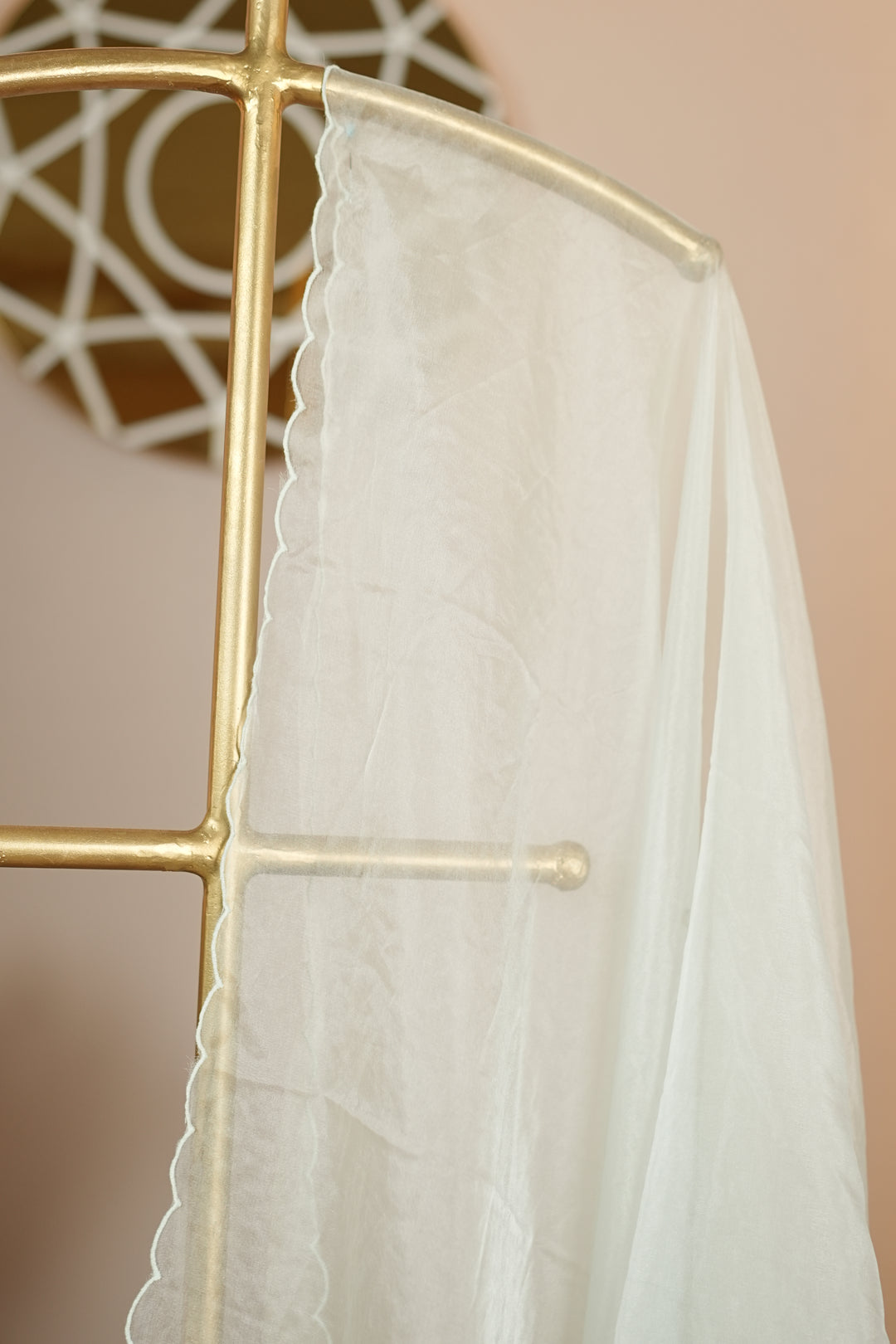 Organza Dupatta TDA0137
