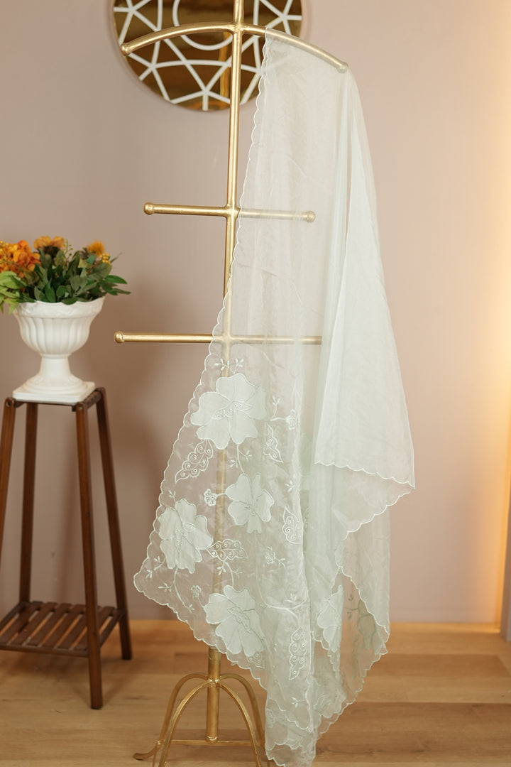 Organza Dupatta TDA0137