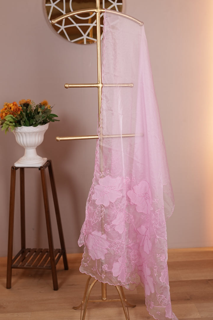 Organza Dupatta TDA0139