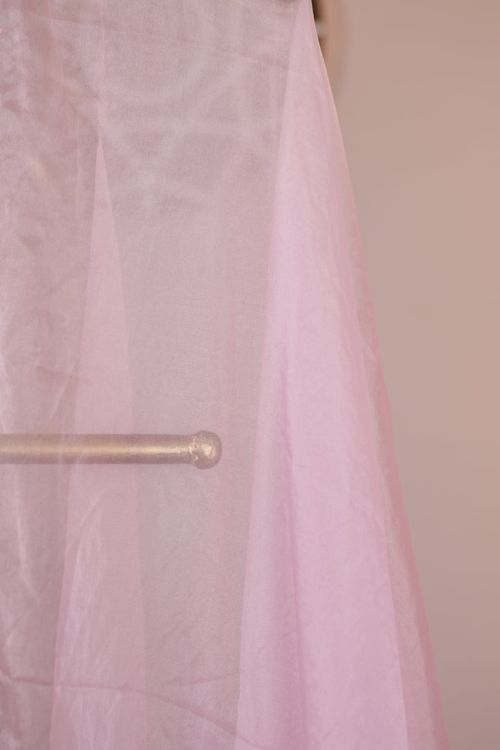 Organza Dupatta TDA0139