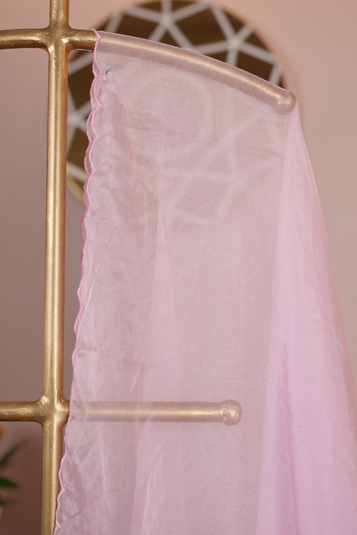 Organza Dupatta TDA0139