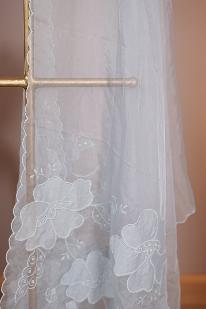 Organza Dupatta TDA0138