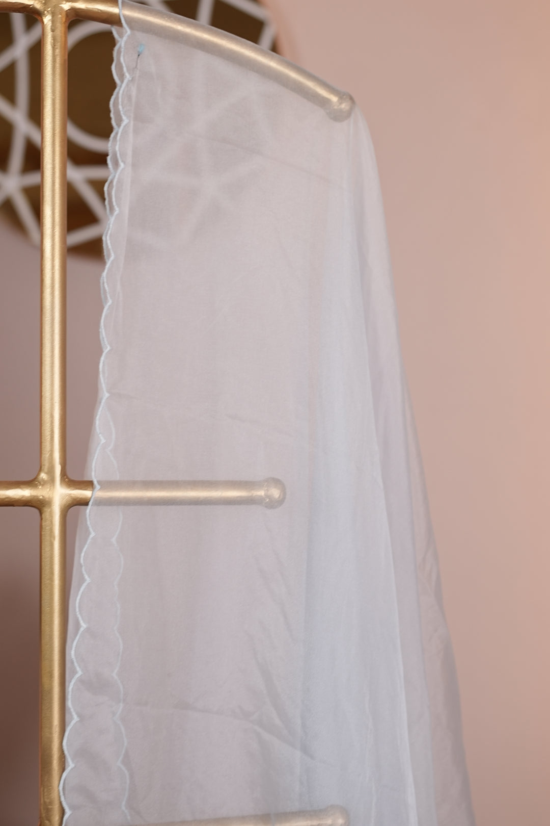Organza Dupatta TDA0138