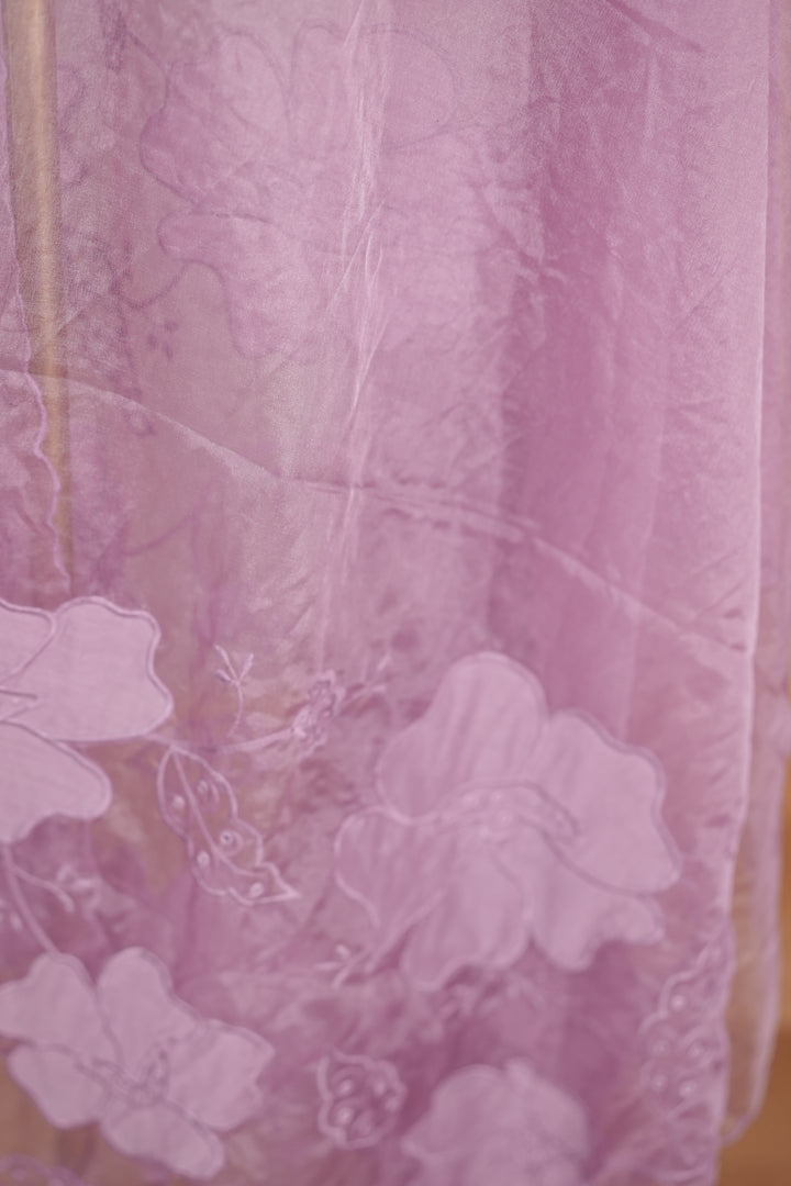 Organza Dupatta TDA0135
