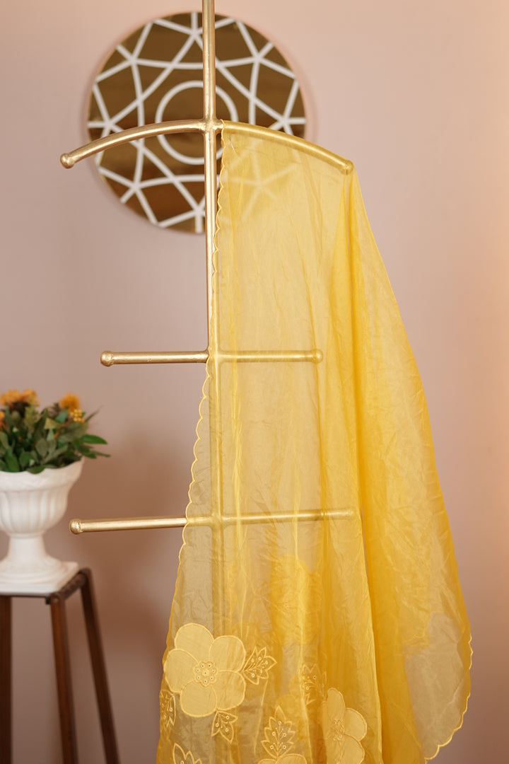 Organza Dupatta TDA0130