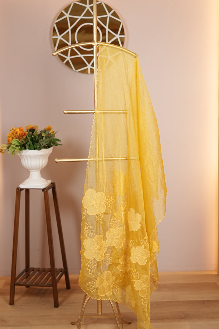 Organza Dupatta TDA0130