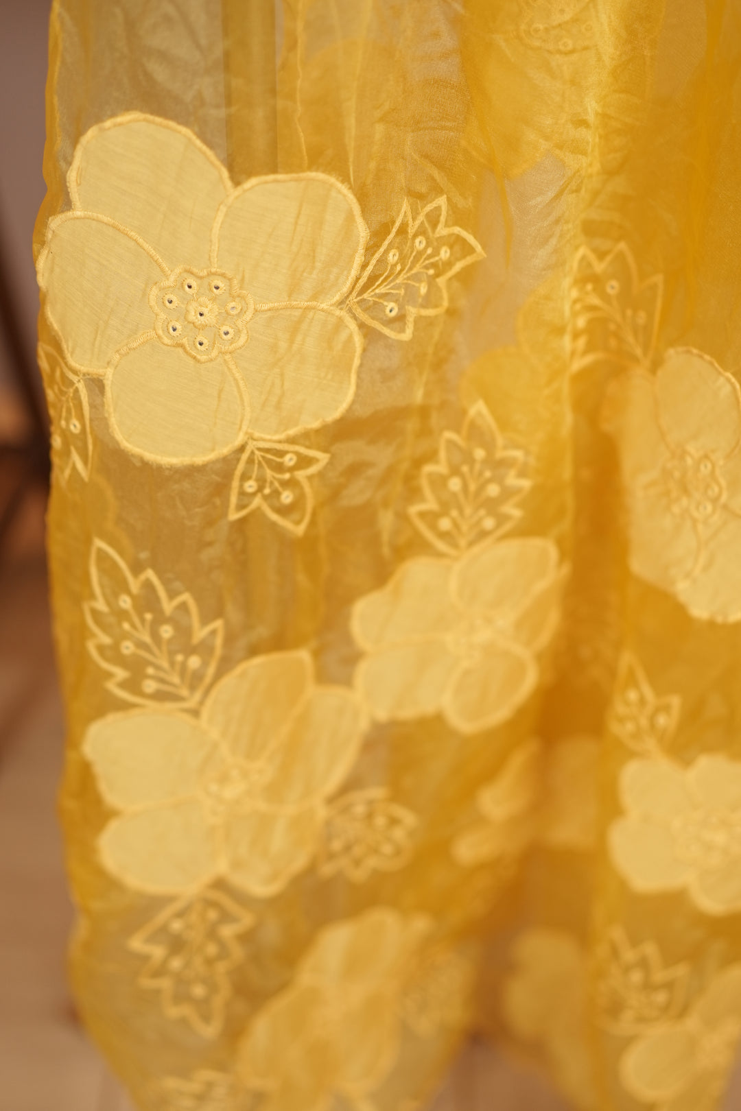 Organza Dupatta TDA0130