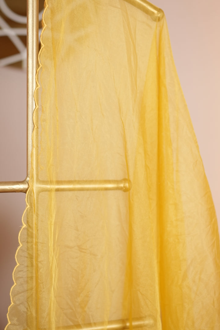 Organza Dupatta TDA0130