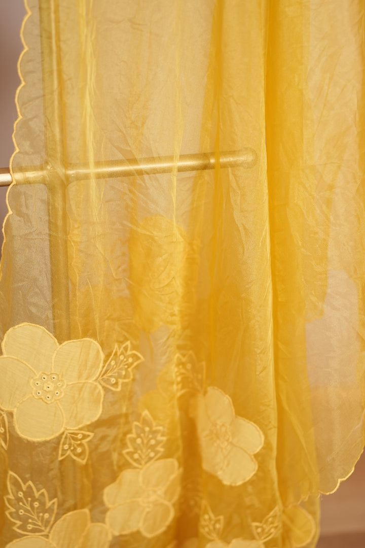 Organza Dupatta TDA0130