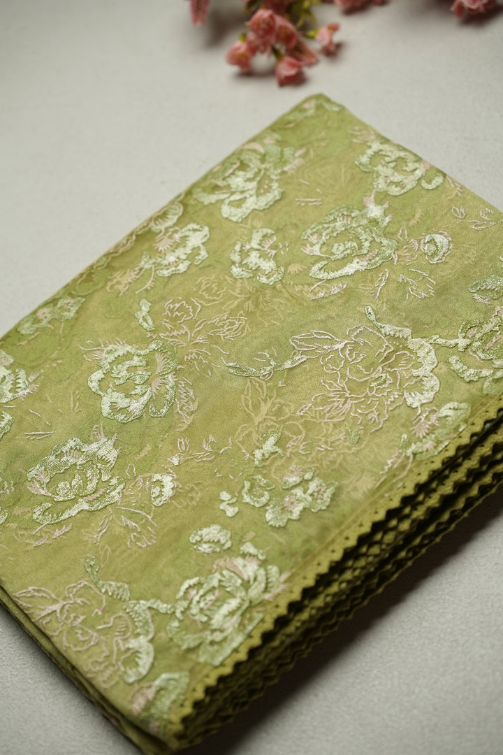 Organza Saree TSA4798 Light Sap Green