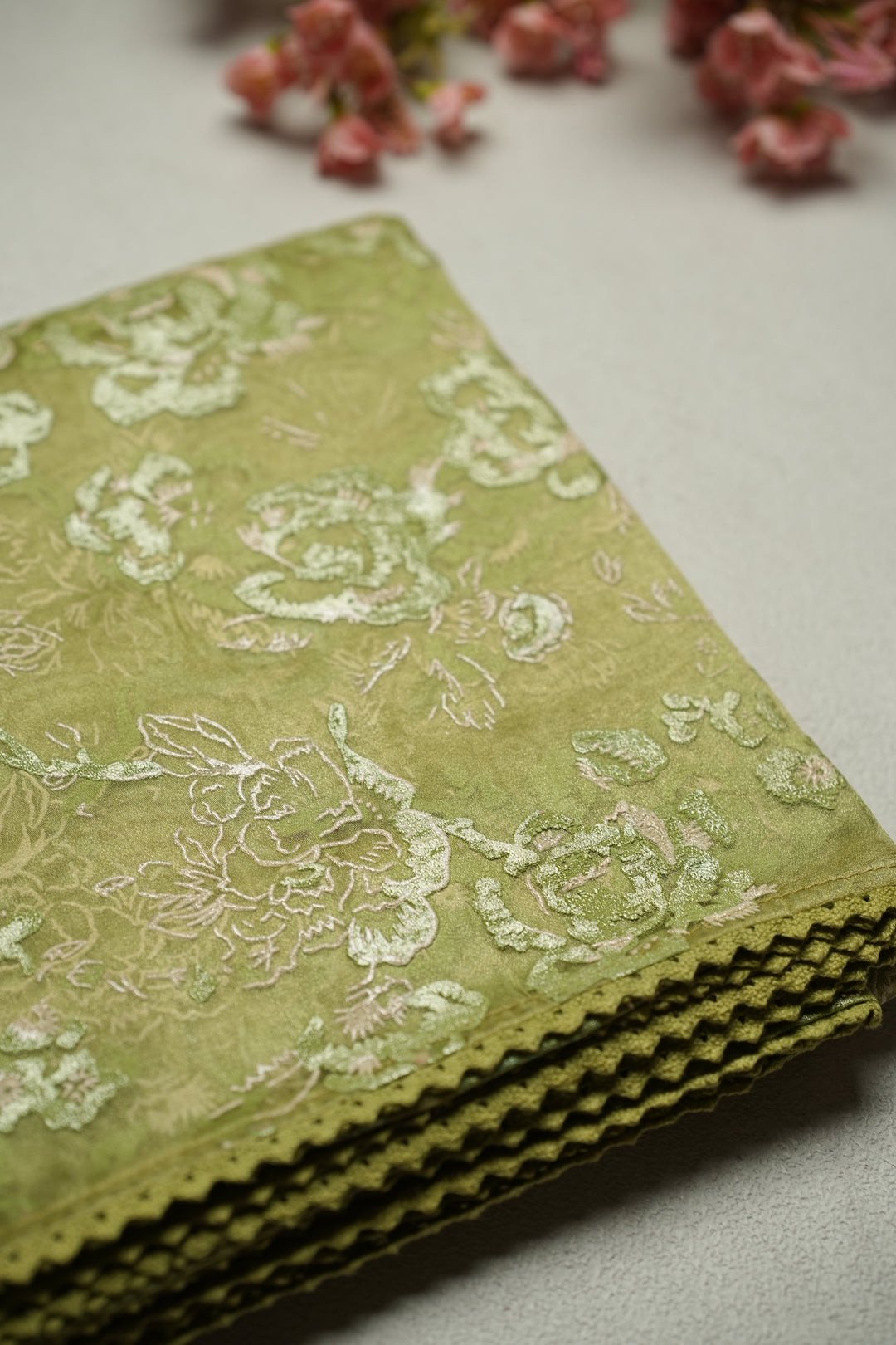Organza Saree TSA4798 Light Sap Green