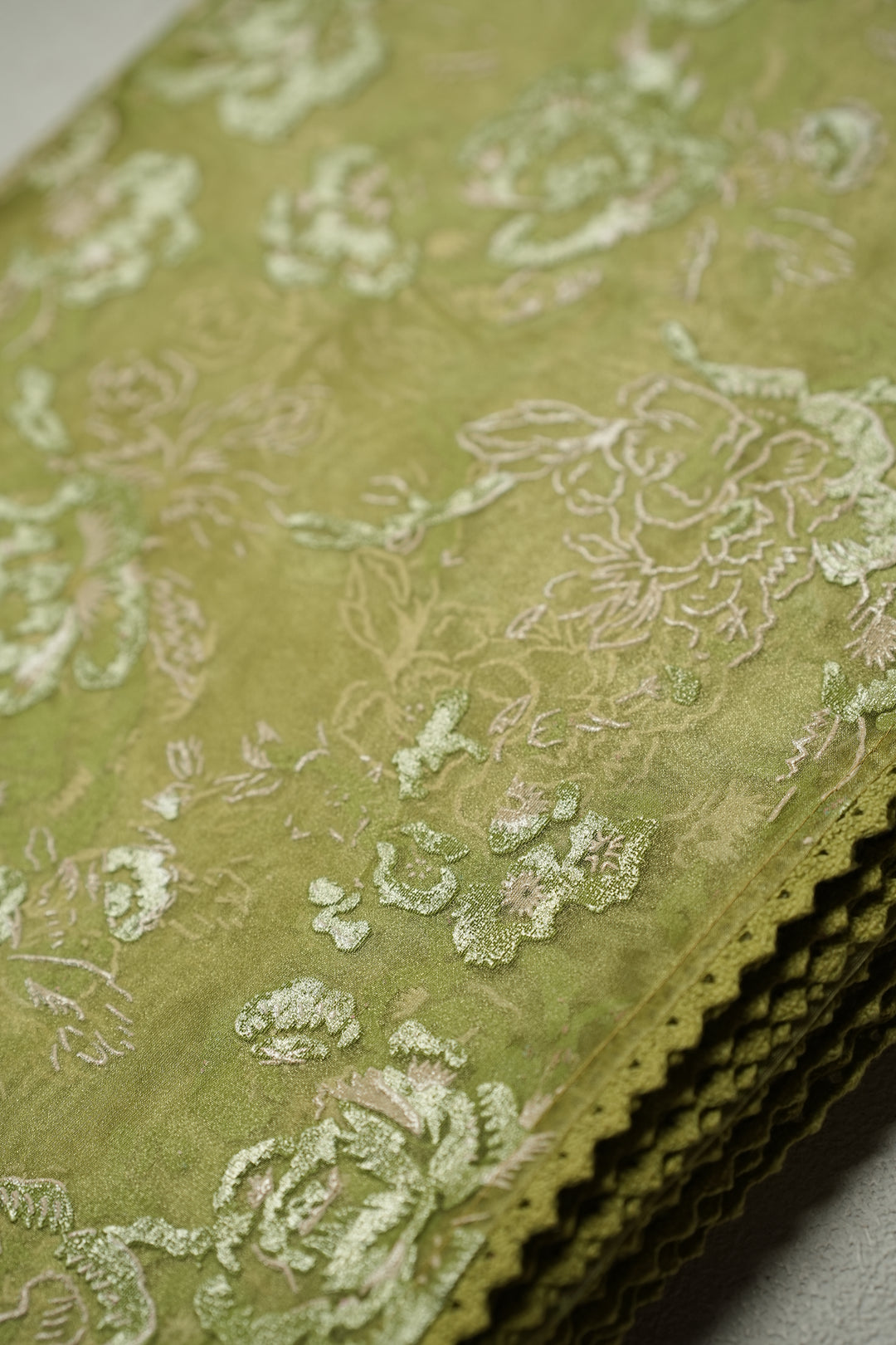 Organza Saree TSA4798 Light Sap Green