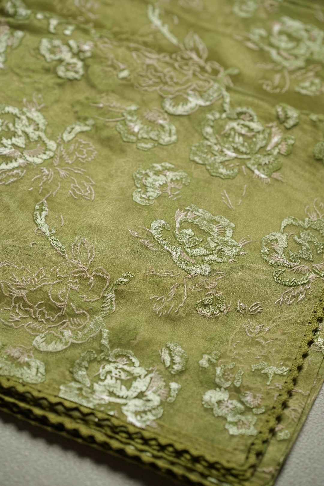 Organza Saree TSA4798 Light Sap Green
