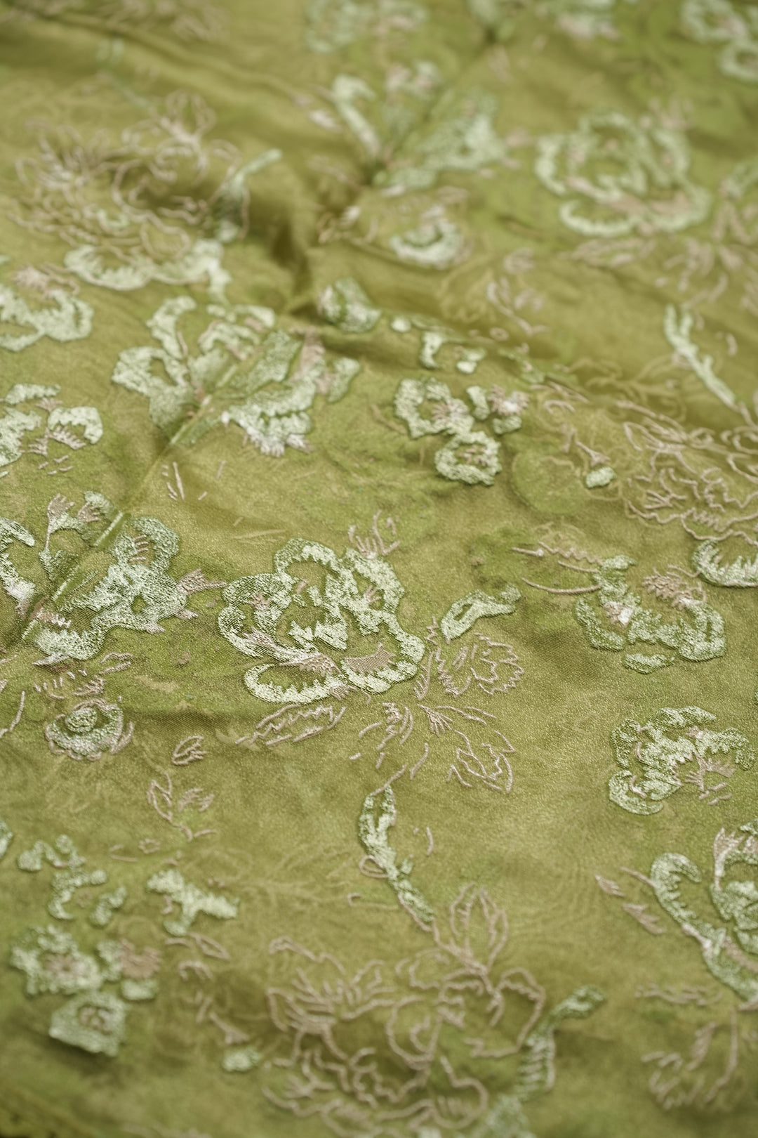 Organza Saree TSA4798 Light Sap Green