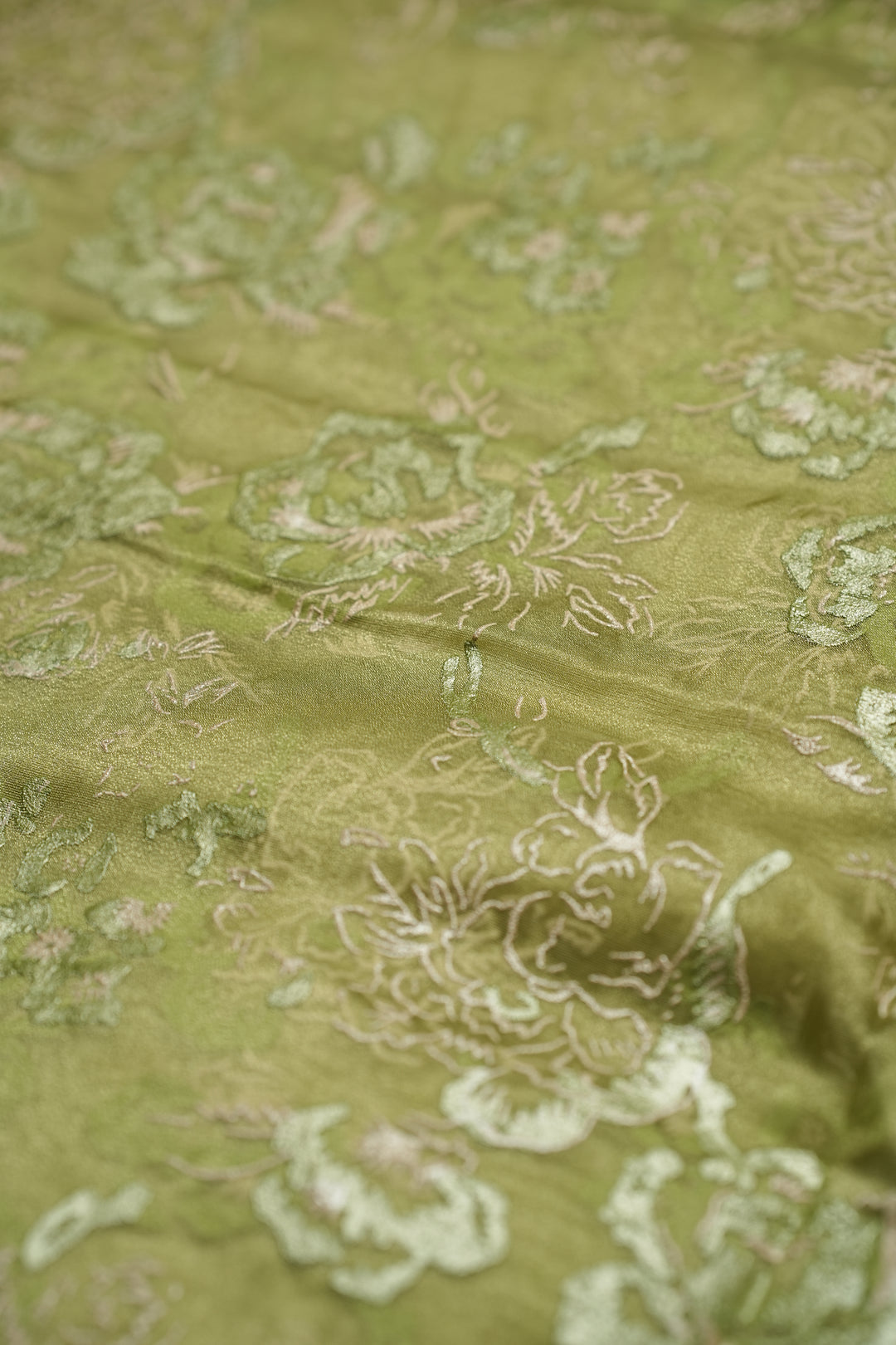 Organza Saree TSA4798 Light Sap Green
