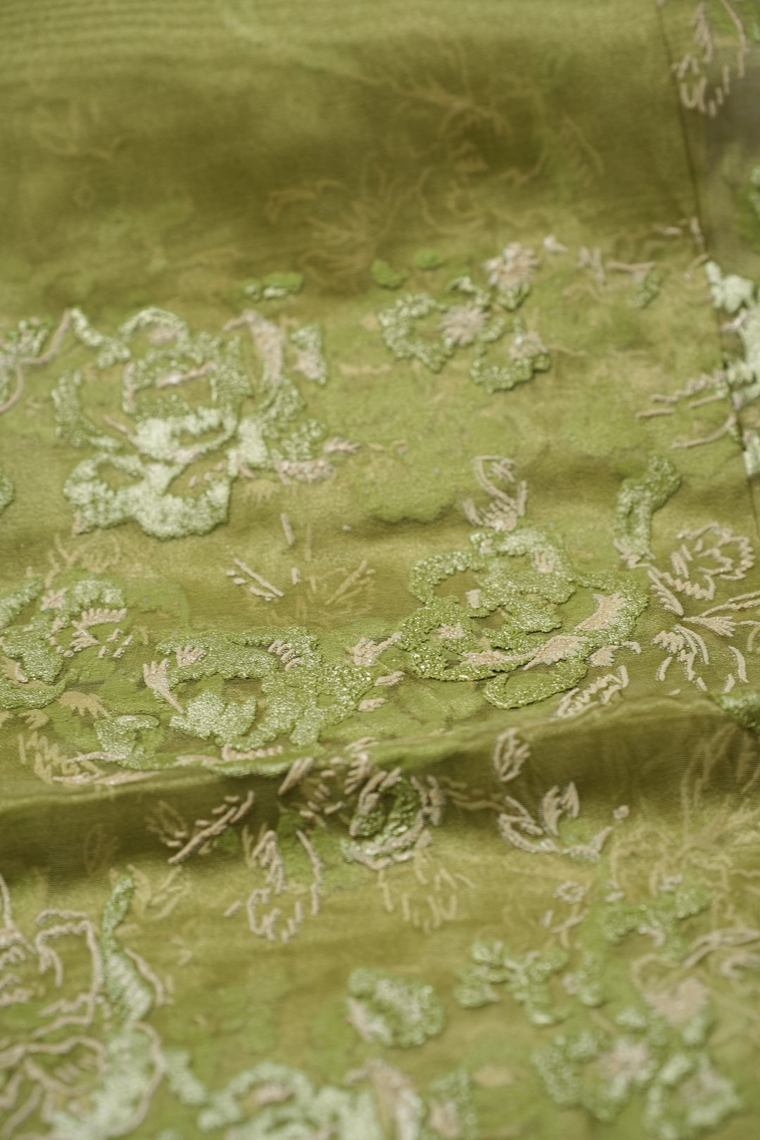 Organza Saree TSA4798 Light Sap Green