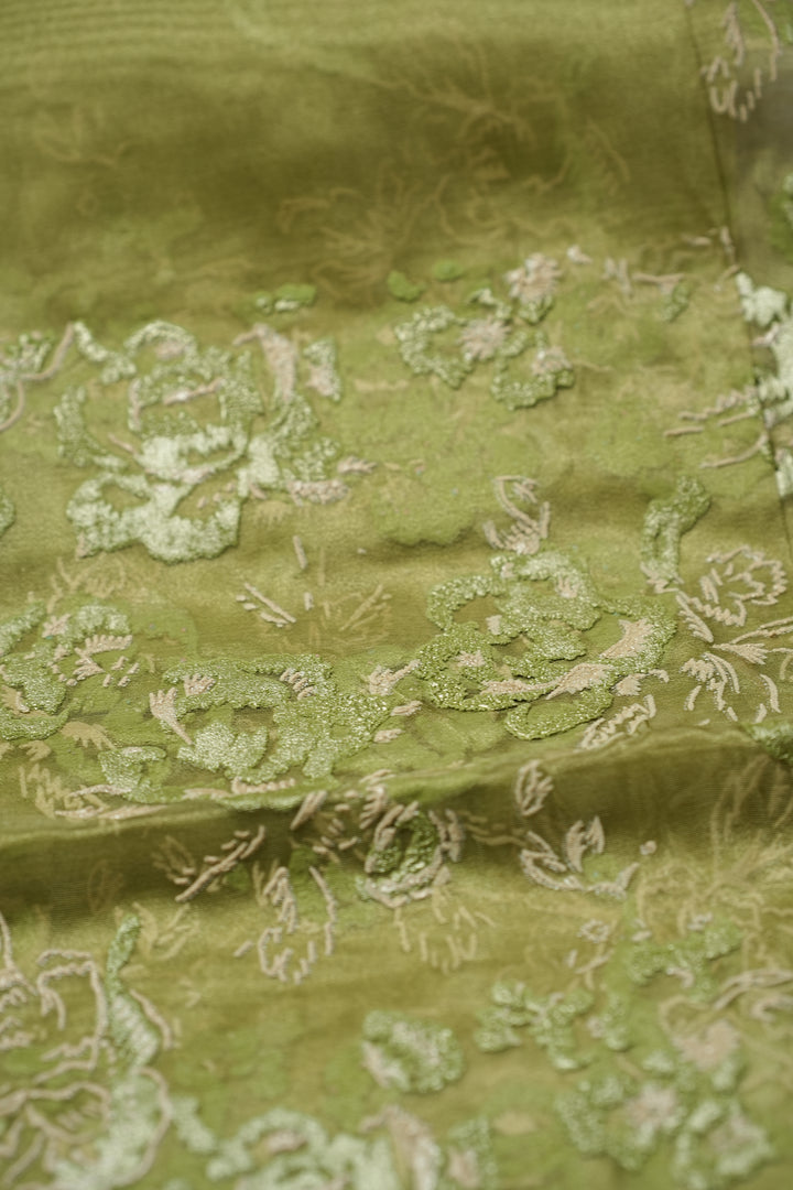 Organza Saree TSA4798 Light Sap Green