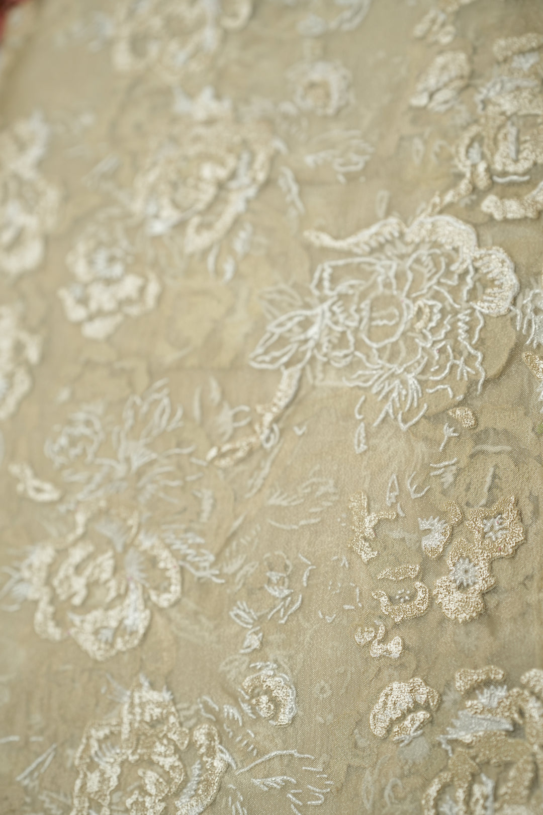 Organza Saree TSA4798 Cream
