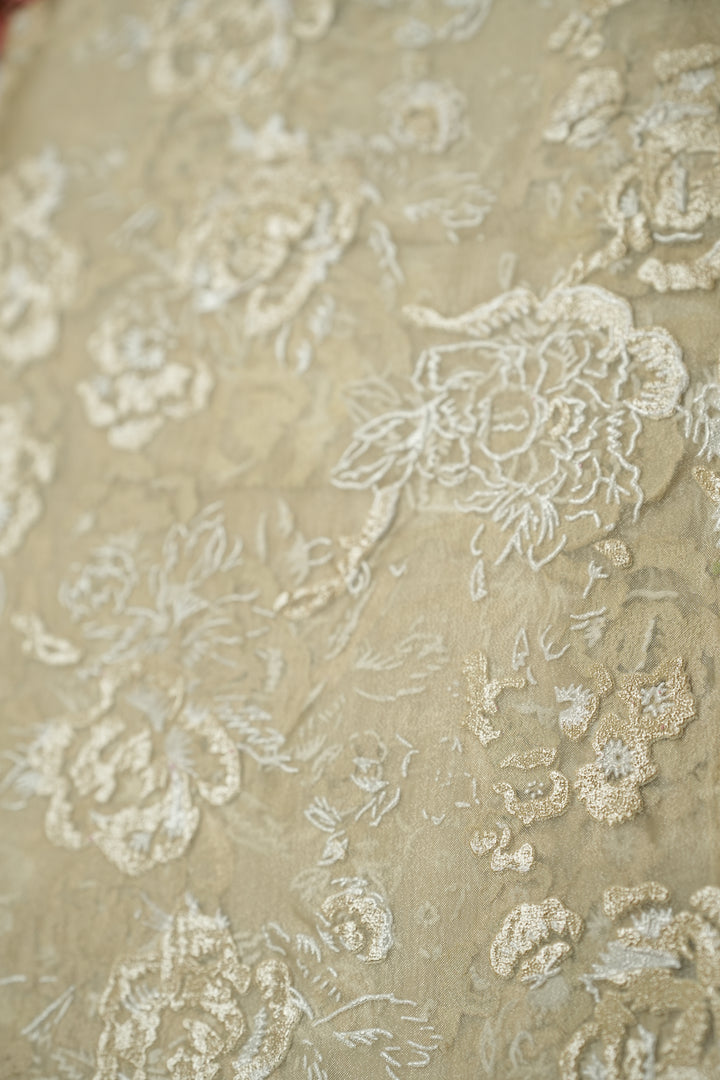 Organza Saree TSA4798 Cream
