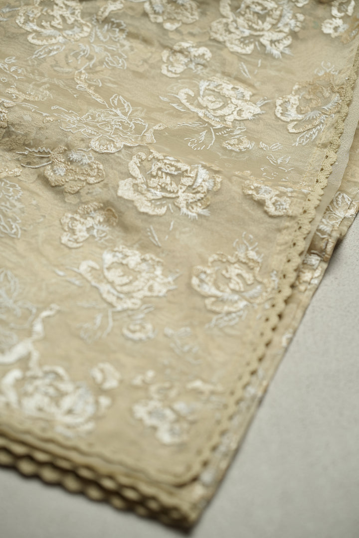 Organza Saree TSA4798 Cream