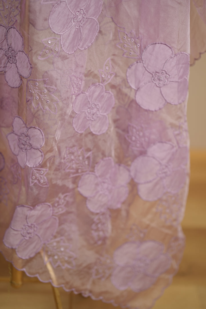 Organza Dupatta TDA0145