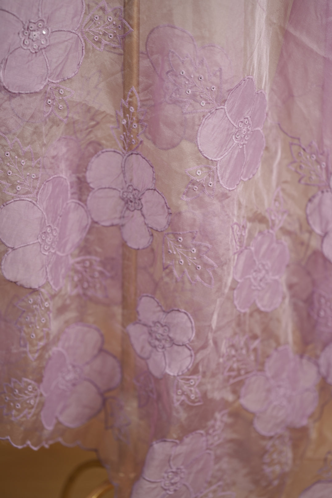 Organza Dupatta TDA0145