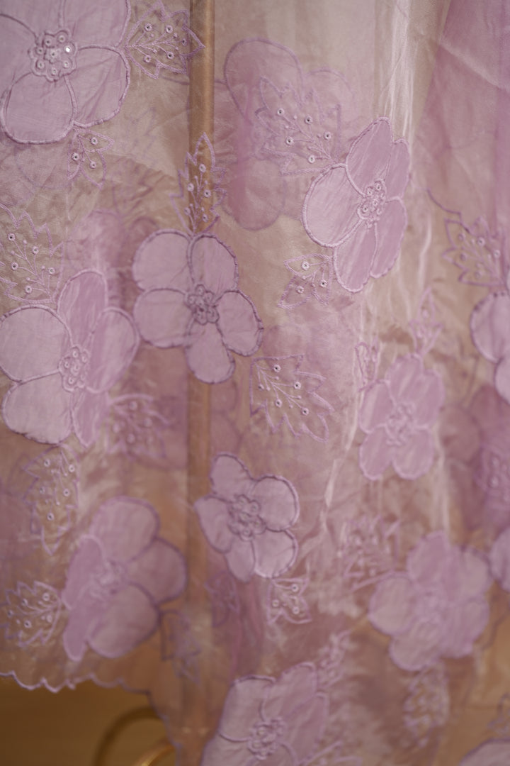 Organza Dupatta TDA0145
