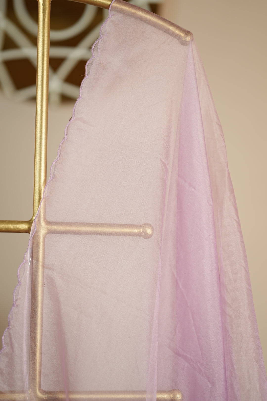 Organza Dupatta TDA0145