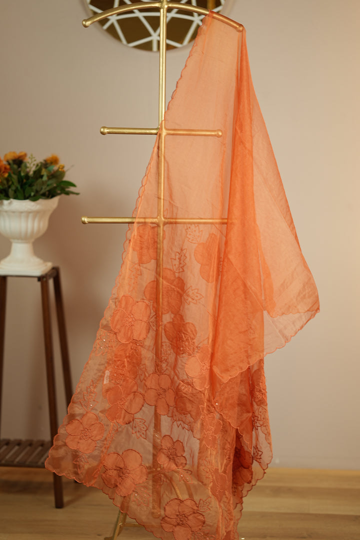 Organza Dupatta TDA0144