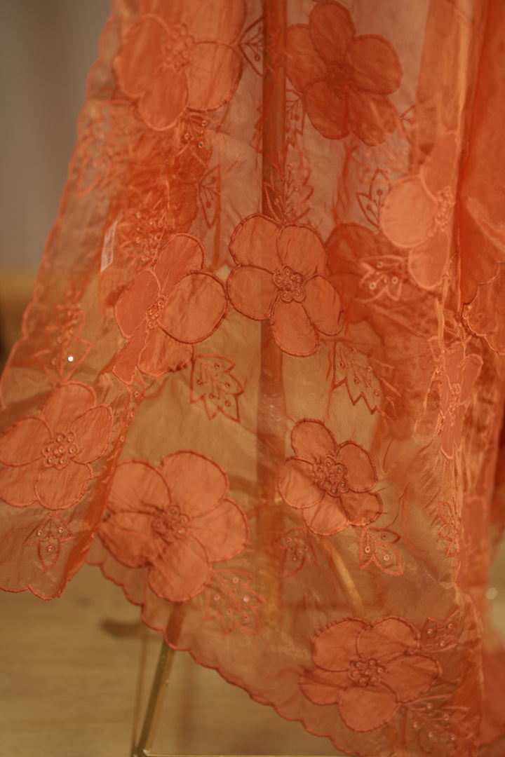 Organza Dupatta TDA0144