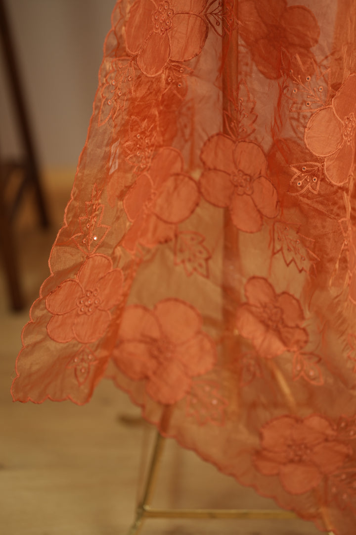 Organza Dupatta TDA0144