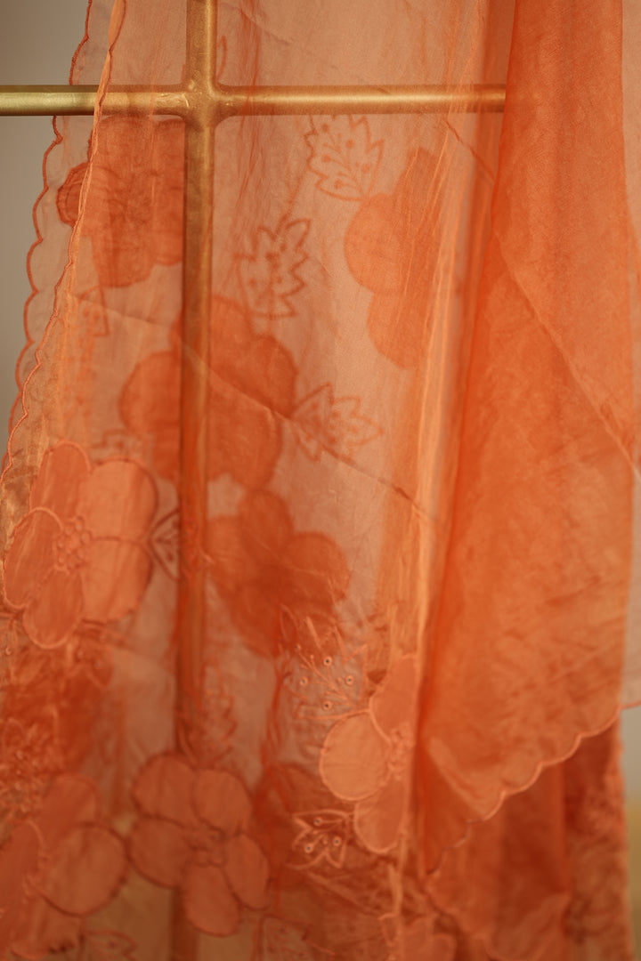 Organza Dupatta TDA0144