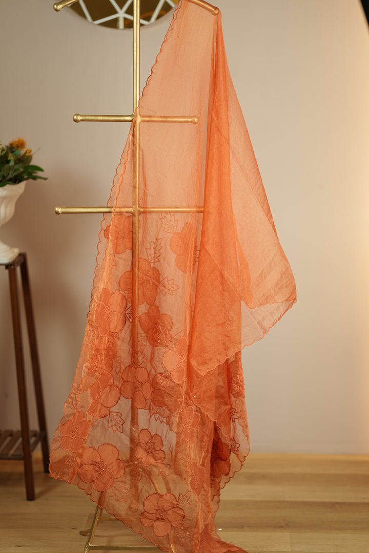 Organza Dupatta TDA0144