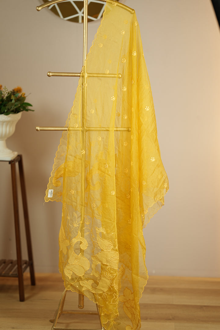 Organza Dupatta TDA0147