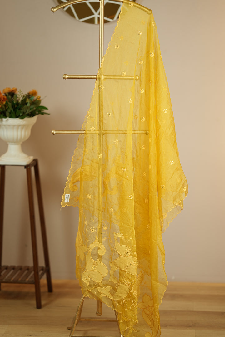 Organza Dupatta TDA0147