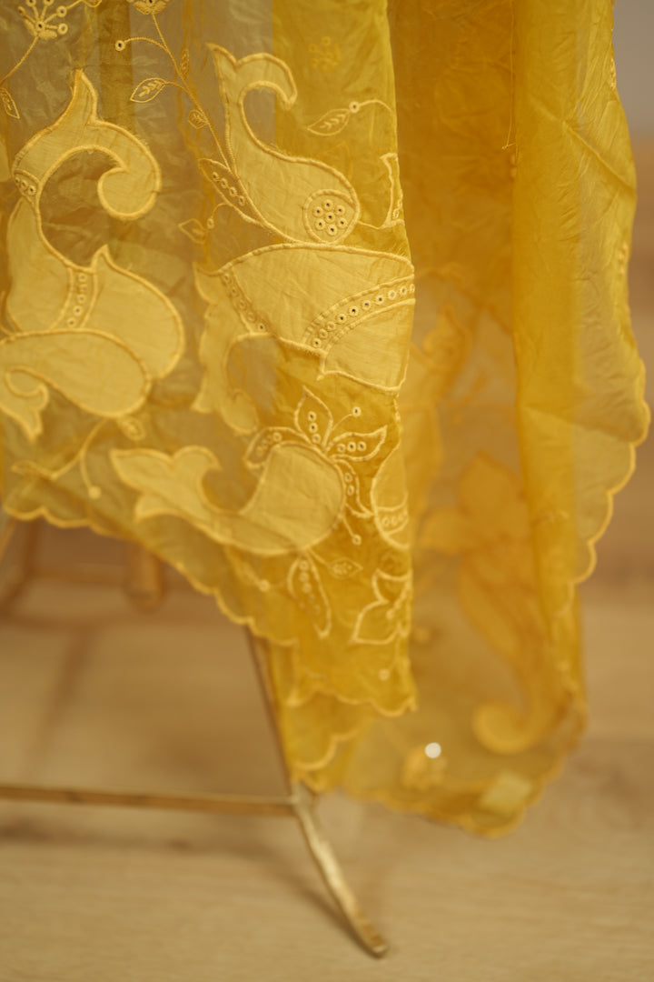 Organza Dupatta TDA0147