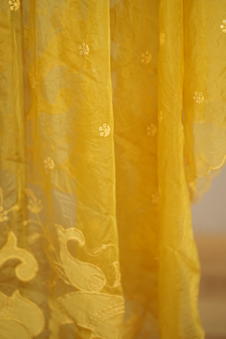 Organza Dupatta TDA0147