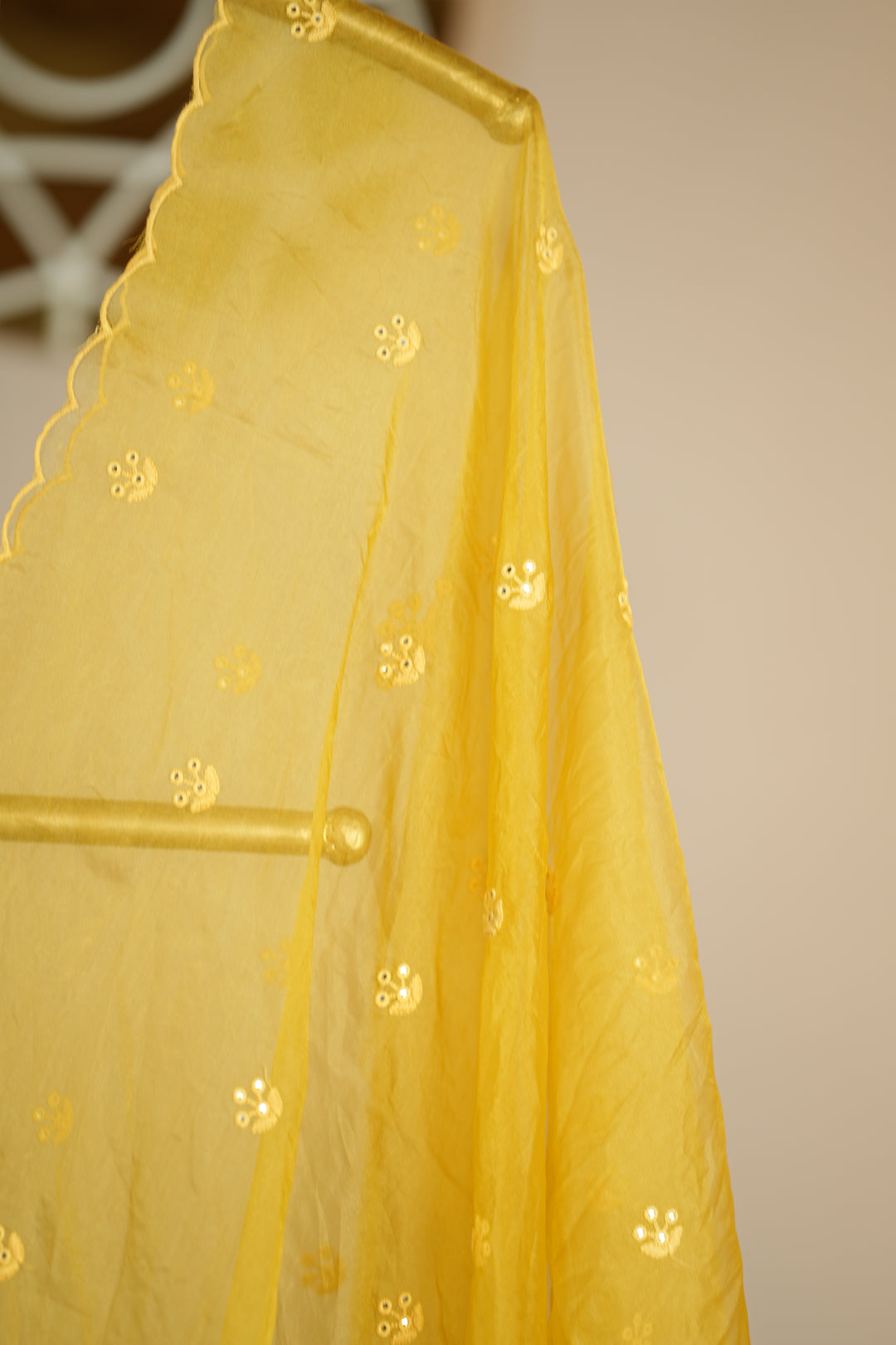 Organza Dupatta TDA0147
