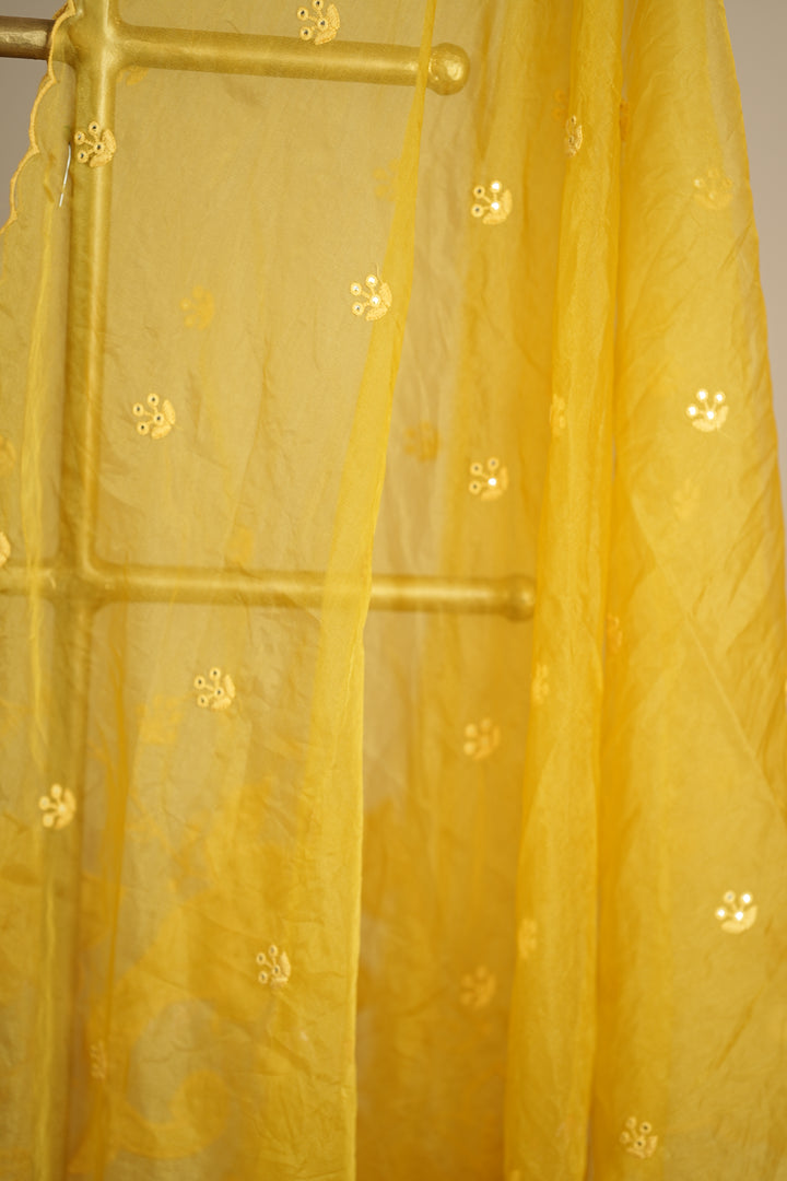 Organza Dupatta TDA0147