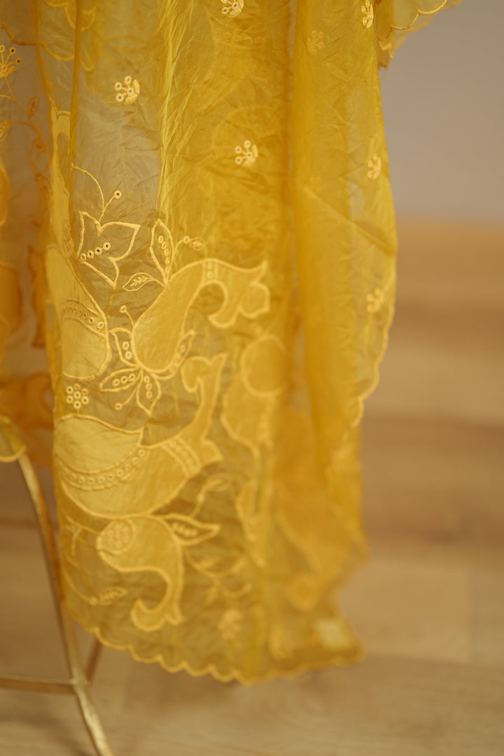Organza Dupatta TDA0147